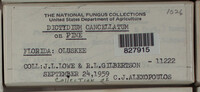 Image Associated With the Occurence
